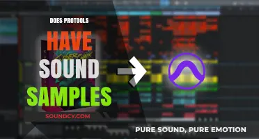 Does Pro Tools Include Sound Samples? Exploring Its Audio Library