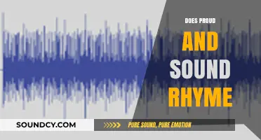 Proud and Sound: Exploring the Rhyme and Reason Behind the Words