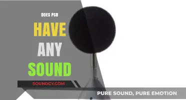 Does PSR Produce Sound? Exploring the Science Behind Pulsar Emissions