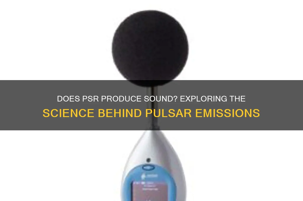 does psr have any sound