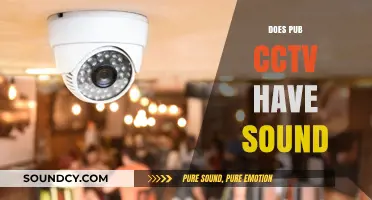 Does Pub CCTV Have Sound? Uncovering Surveillance Audio Capabilities