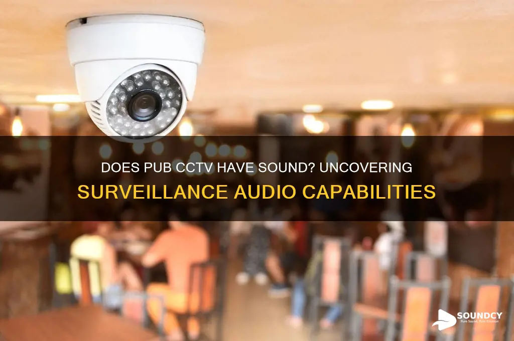does pub cctv have sound