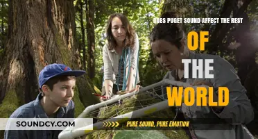 Puget Sound's Global Ripple Effect: Local Ecosystem, Worldwide Impact