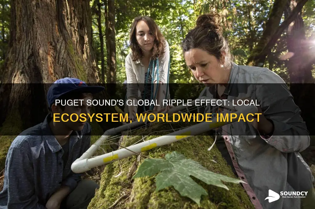 does puget sound affect the rest of the world
