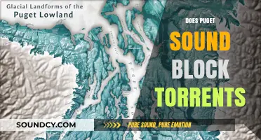 Does Puget Sound's Internet Providers Block Torrent Access in 2023?
