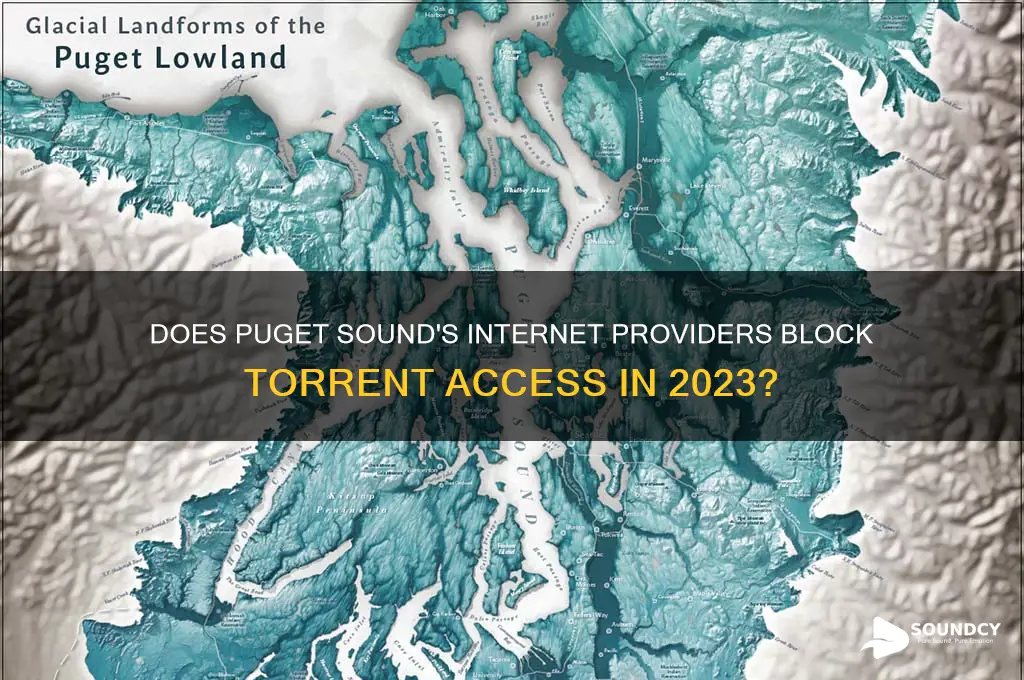 does puget sound block torrents