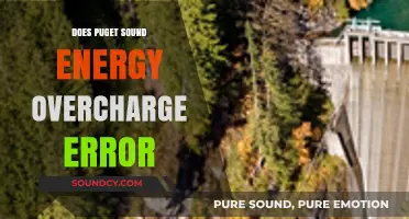 Puget Sound Energy: Overcharging Errors and How to Avoid Them