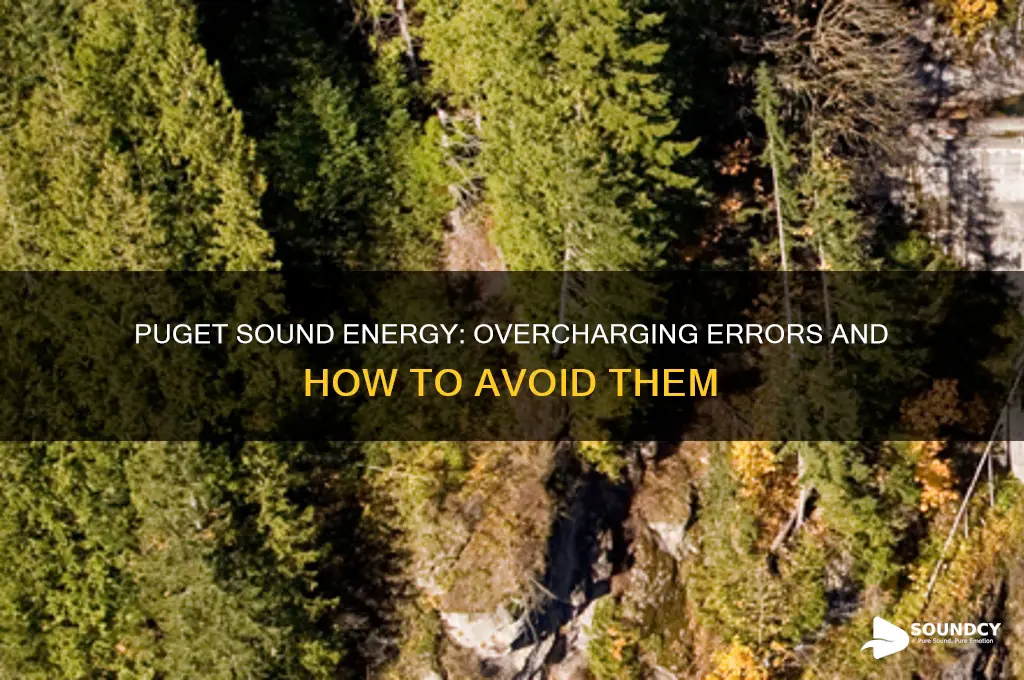 does puget sound energy overcharge error