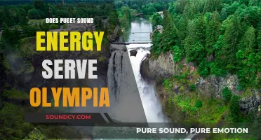 Puget Sound Energy: Powering Olympia and Beyond