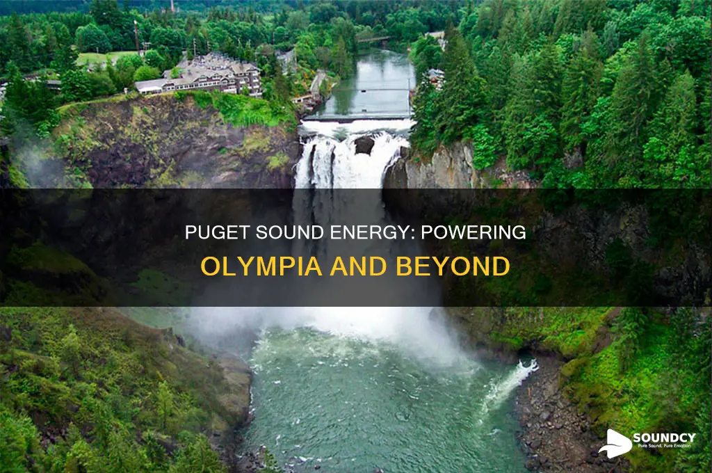 does puget sound energy serve olympia