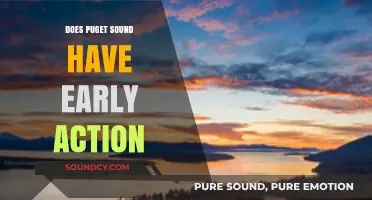 Early Action at Puget Sound: What You Need to Know