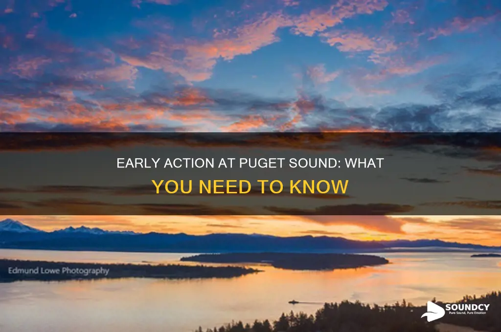 does puget sound have early action