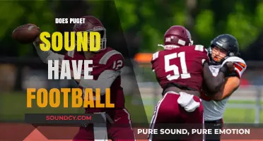 Puget Sound Football: Exploring the Region's Gridiron Presence and Teams