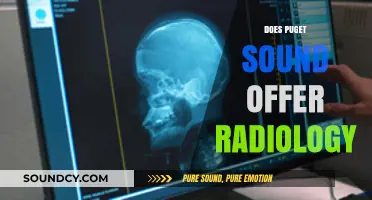 Does Puget Sound Offer Radiology Programs? Exploring Imaging Education Options