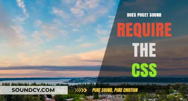 Puget Sound CSS Requirements: What You Need to Know
