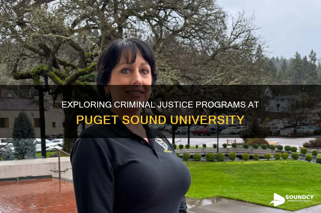 does puget sound university have a criminal justice program