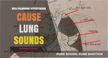 Pulmonary Hypertension: Can It Cause Abnormal Lung Sounds?