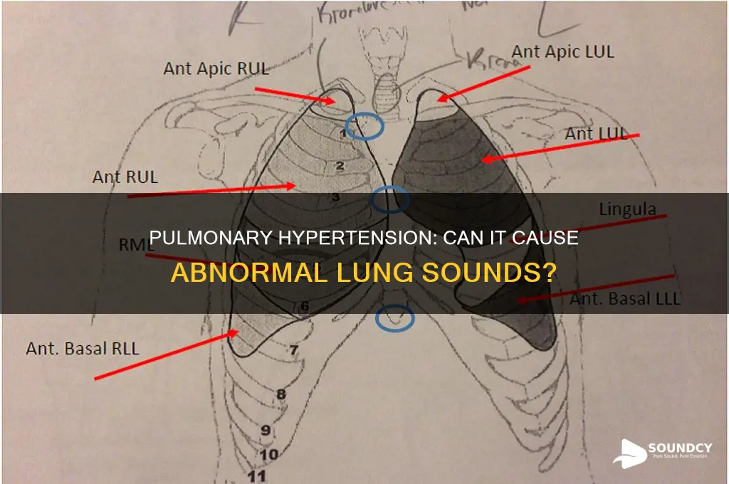 does pulmonary hypertension cause lung sounds