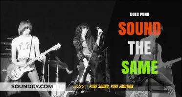 Does Punk Sound the Same? Exploring Evolution and Authenticity in Punk Music