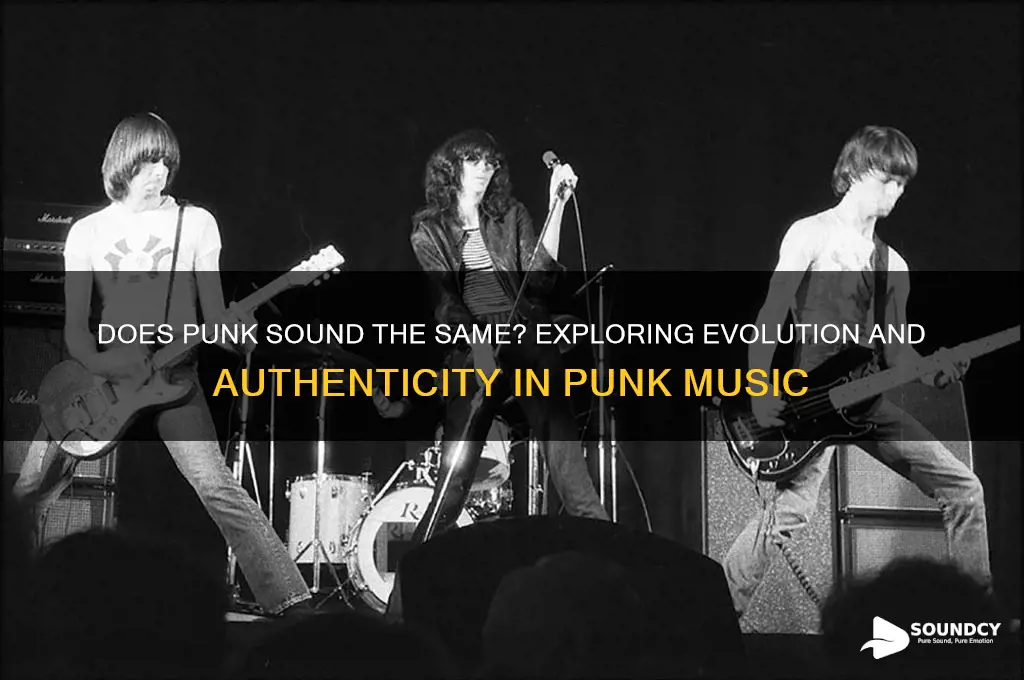 does punk sound the same