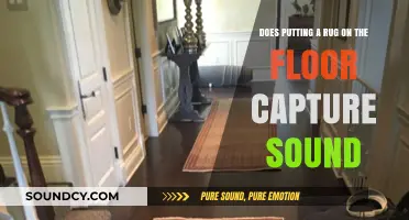 Can Rugs Reduce Noise? Exploring Sound Absorption with Floor Rugs