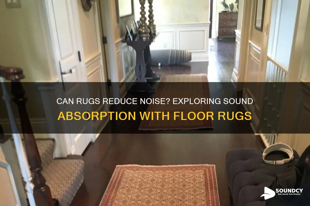 does putting a rug on the floor capture sound