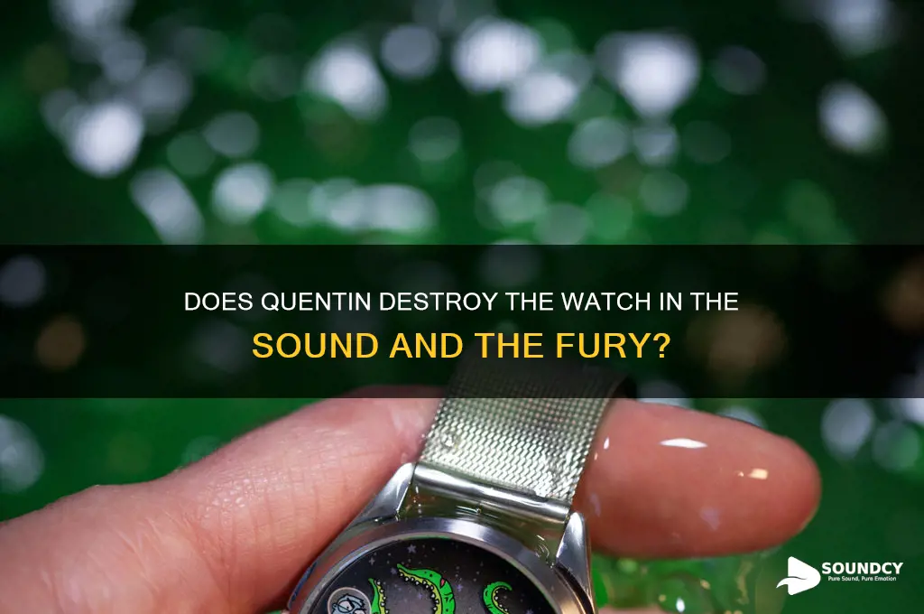 does quentin destroy the watch sound and the fury