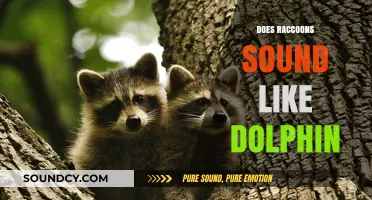 Unusual Animal Noises: Do Raccoons Really Sound Like Dolphins?