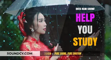 How Rain Sounds Enhance Focus and Studying