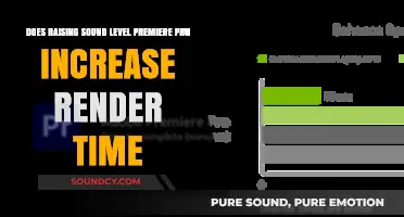Does Raising Sound Levels in Premiere Pro Increase Render Time?