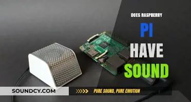 Exploring Raspberry Pi's Audio Capabilities: Does It Support Sound?