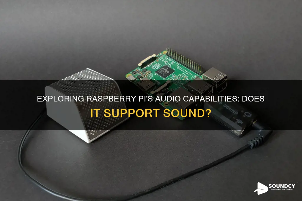 does raspberry pi have sound