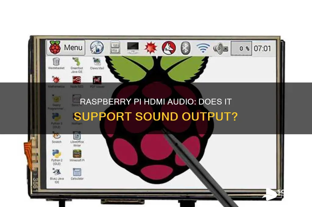 does raspberry pi run sound through the hdmi port