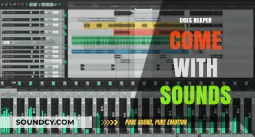 Does Reaper Include Sounds? Exploring Its Built-in Audio Library