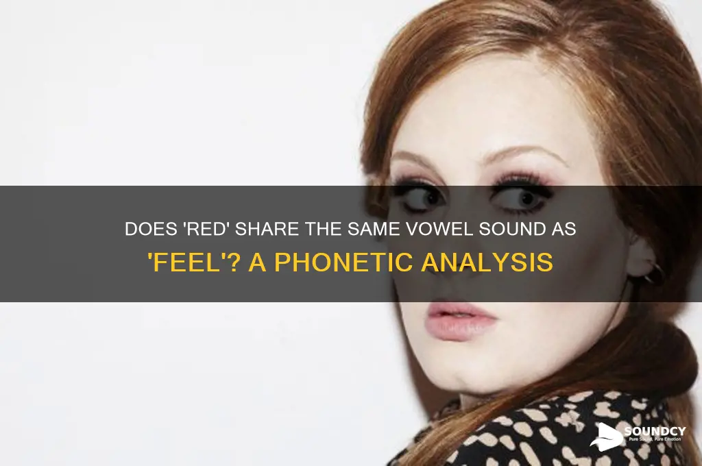 does red have the same vowel sound as feel