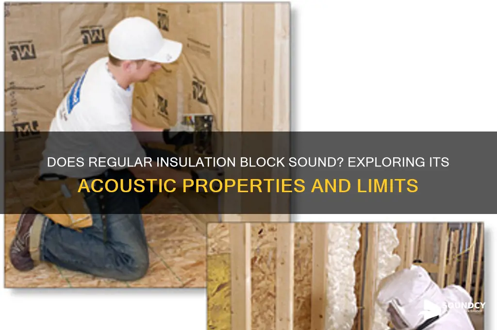 does regular insulation block sound