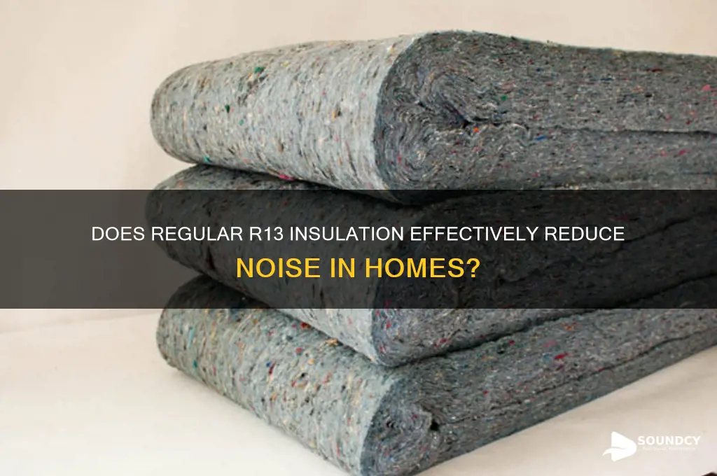does regular r13 insulation sound