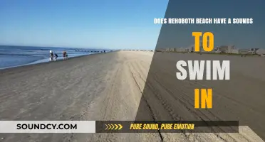 Rehoboth Beach's Swimming Spots: Sounds or Ocean Waves Only?