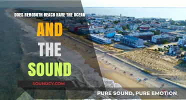 Rehoboth Beach: Exploring the Ocean and Sound Connection