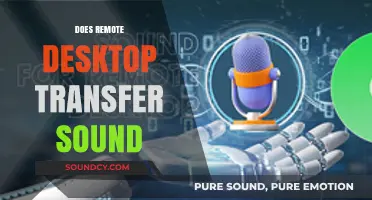 Does Remote Desktop Transfer Sound? Exploring Audio Streaming Capabilities