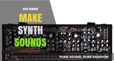 Exploring Renoise: Crafting Synth Sounds in Digital Audio Workstations