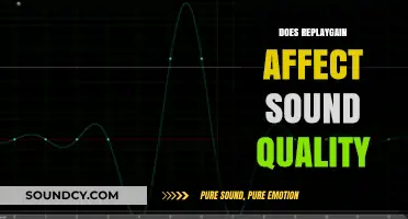 Does ReplayGain Compromise Audio Quality? A Detailed Analysis