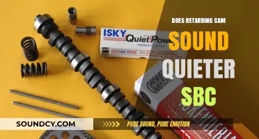 How to Quiet a Noisy SBC with Cam Retard
