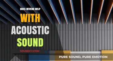 Reverb and Acoustic Sound: Enhancing or Distracting?