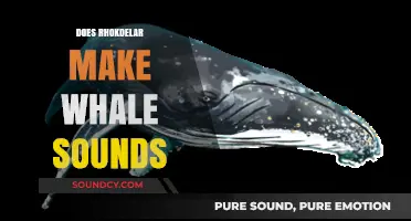 Unraveling Rhokdelar's Mystery: Does It Mimic Whale Sounds?
