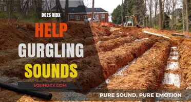Does Rid-X Solve Gurgling Septic Tank Sounds? Expert Insights