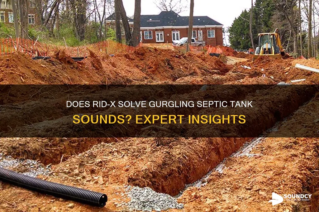 does ridx help gurgling sounds