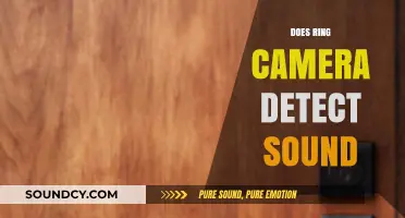 Does Ring Camera Detect Sound? Exploring Audio Features and Capabilities