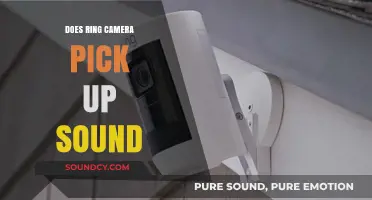 Ring Camera: Capturing Sound and Visuals