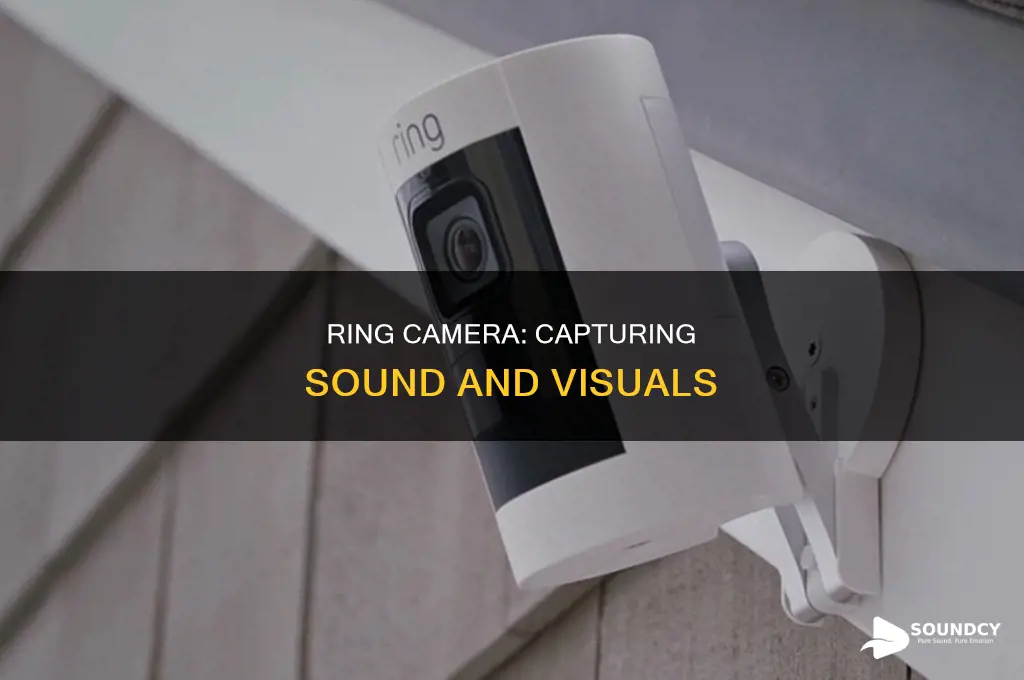 does ring camera pick up sound